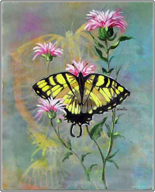 Butterfly 5946